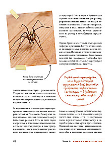 Pająki. Ilustrowana encyklopedia dla całej rodziny