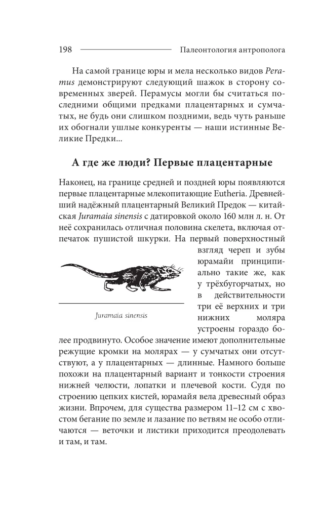 Paleontology of the Anthropologist. Volume 2. Mesozoic