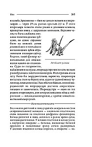 Paleontology of the Anthropologist. Volume 2. Mesozoic