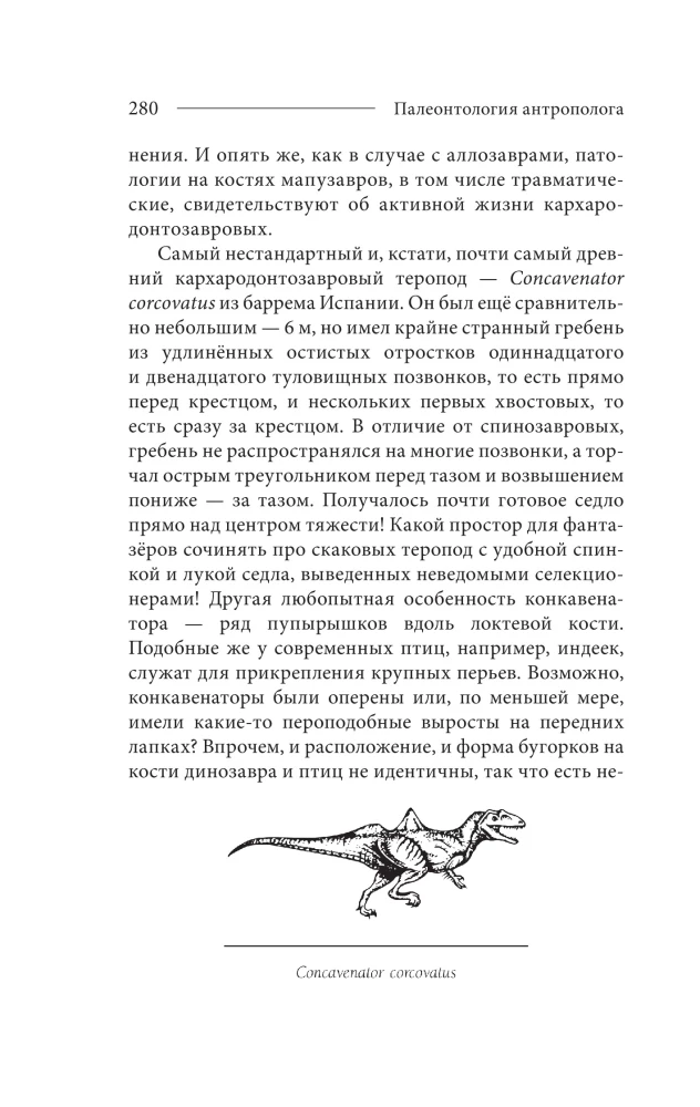 Paleontology of the Anthropologist. Volume 2. Mesozoic