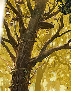 Настольная игра - Everdell: Essentials Edition (EN)