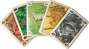 Galda spēle - CATAN 6. izdevums (2025) (EN)