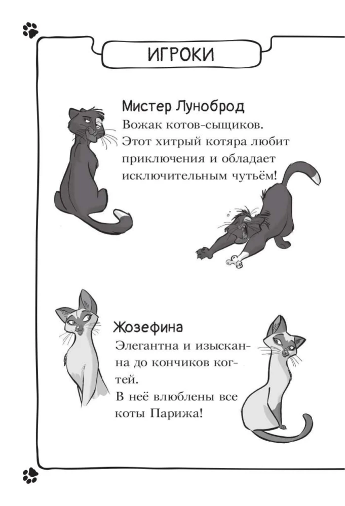 The Mysterious Disappearance of the Golden Cat