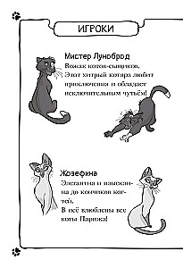 The Mysterious Disappearance of the Golden Cat
