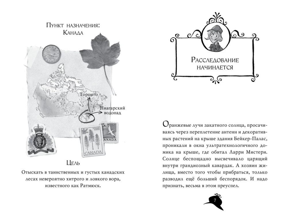 Агата Мистерии. Книга 4. Кража на Ниагарском воопаде