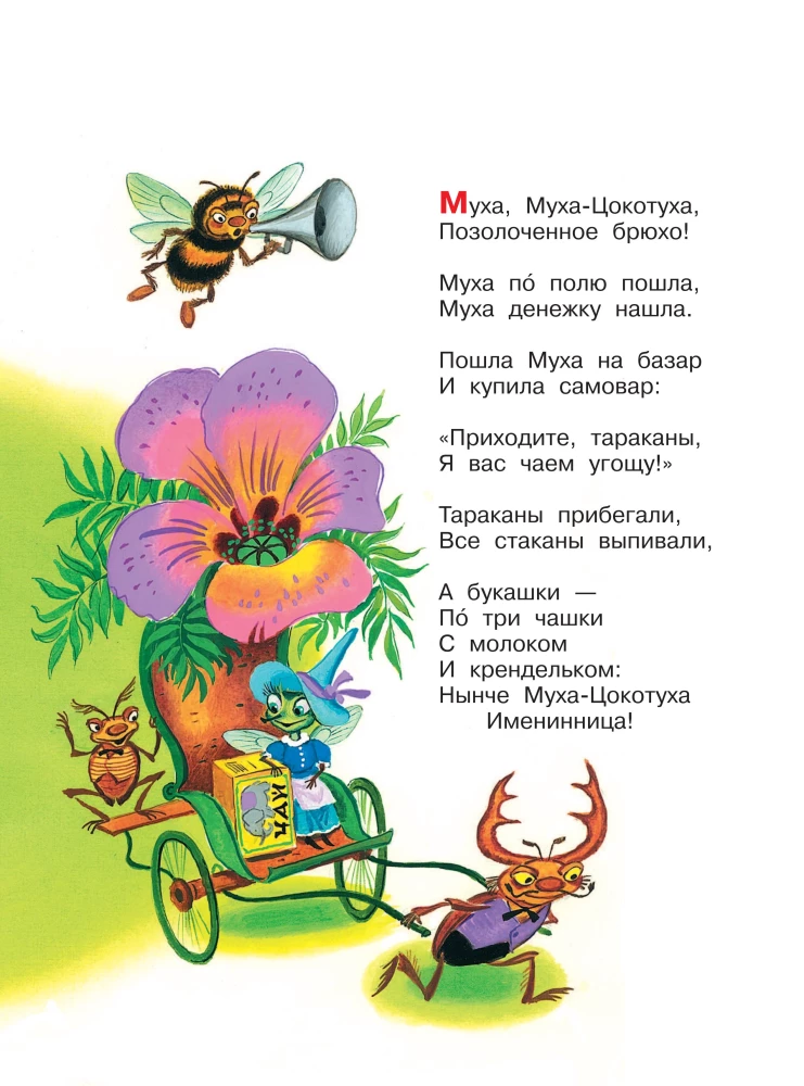 Muchy-Czokotuha