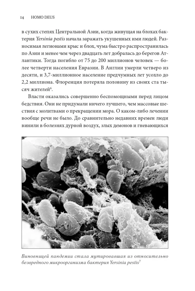 Homo Deus. Krótka historia przyszłości