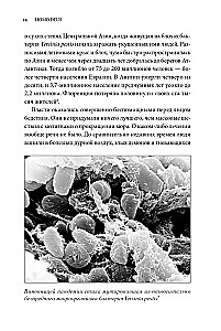 Homo Deus. Krótka historia przyszłości