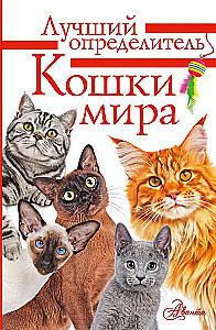 Kotów Świata. Najlepszy przewodnik