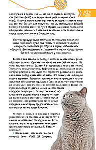 Kotów Świata. Najlepszy przewodnik