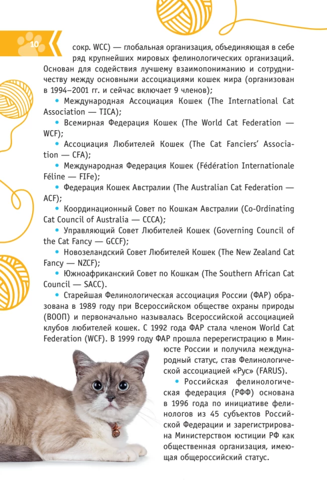 Kotów Świata. Najlepszy przewodnik