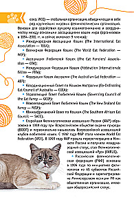Kotów Świata. Najlepszy przewodnik