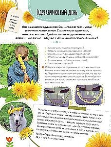 92 дня лета. Книга для творчества