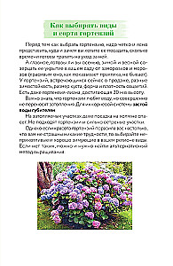 Hydrangea. Colorful Feelings. Cheat Sheet-Tracker on Growing and Care