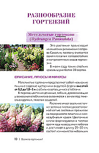 Hydrangea. Colorful Feelings. Cheat Sheet-Tracker on Growing and Care