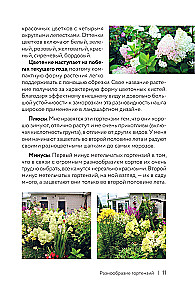 Hydrangea. Colorful Feelings. Cheat Sheet-Tracker on Growing and Care