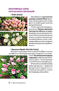 Hydrangea. Colorful Feelings. Cheat Sheet-Tracker on Growing and Care