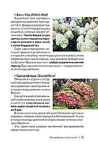 Hydrangea. Colorful Feelings. Cheat Sheet-Tracker on Growing and Care