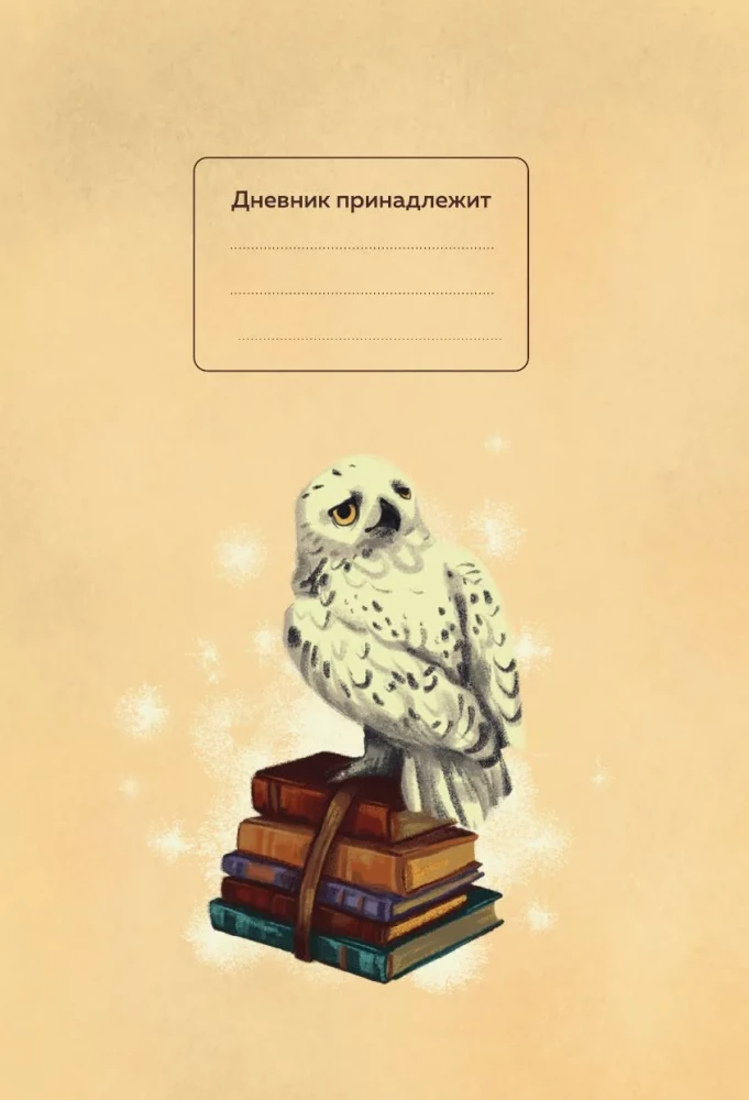 Harry Potter. Unofficial Reader's Diary (Letter)