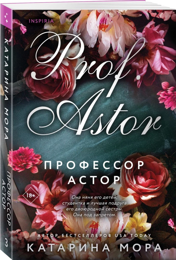 Professor Astor. Bitter-süße Erinnerungen (Set von 2 Büchern)