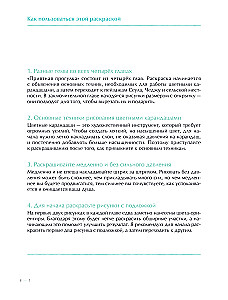 Angenehme Spaziergänge. Malbuch