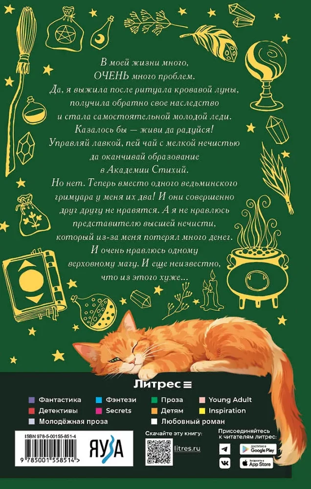 Właścicielka magicznego sklepiku. Książka 3