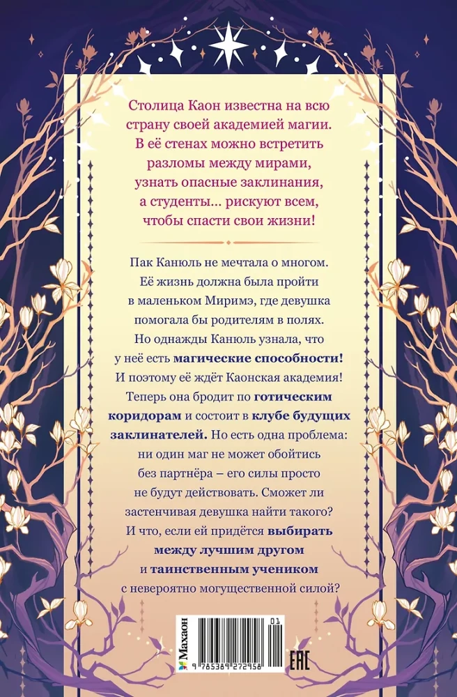 Маги Каона. Академия между мирами