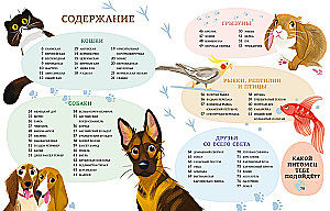 All All All Pets