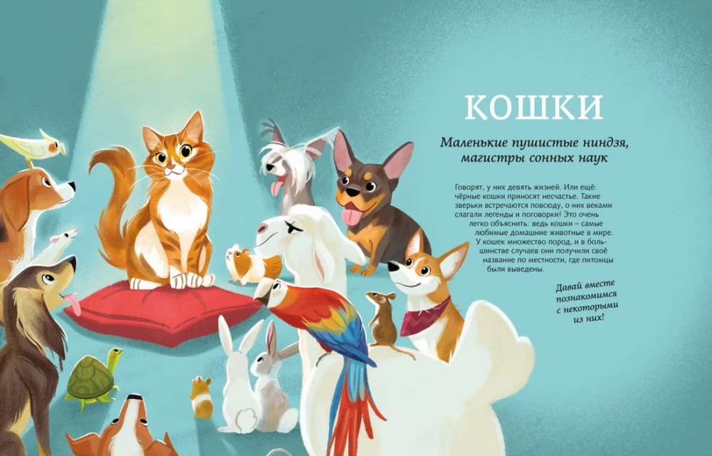 All All All Pets