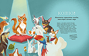 All All All Pets