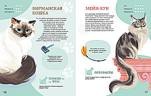 All All All Pets
