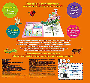 Insects. Tactile Pop-up Book