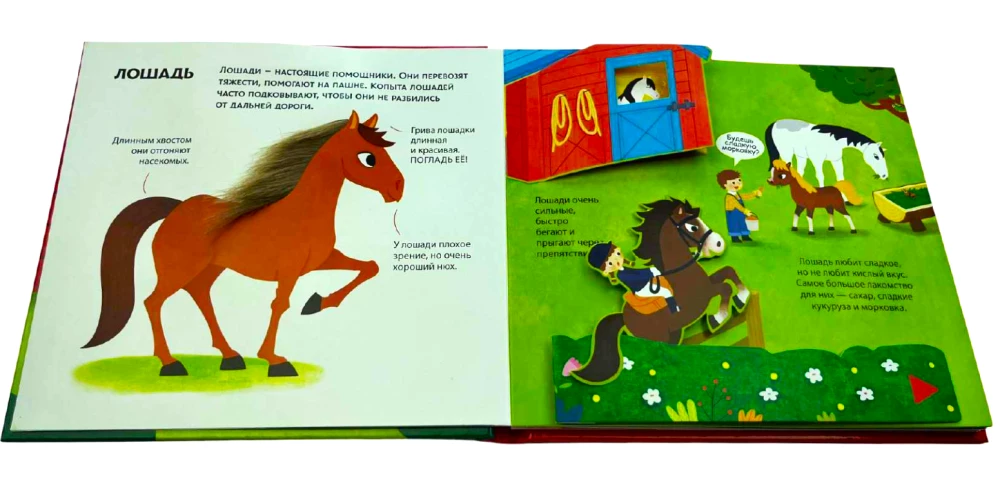 Farm Animals. A Touch and Feel Pop-up Book