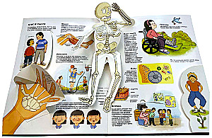 The Human Body. All Secrets. Large Interactive 3D Encyclopedia