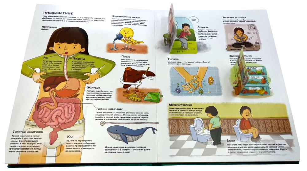 The Human Body. All Secrets. Large Interactive 3D Encyclopedia