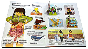 The Human Body. All Secrets. Large Interactive 3D Encyclopedia