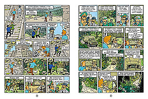 Tintin i pikarosi