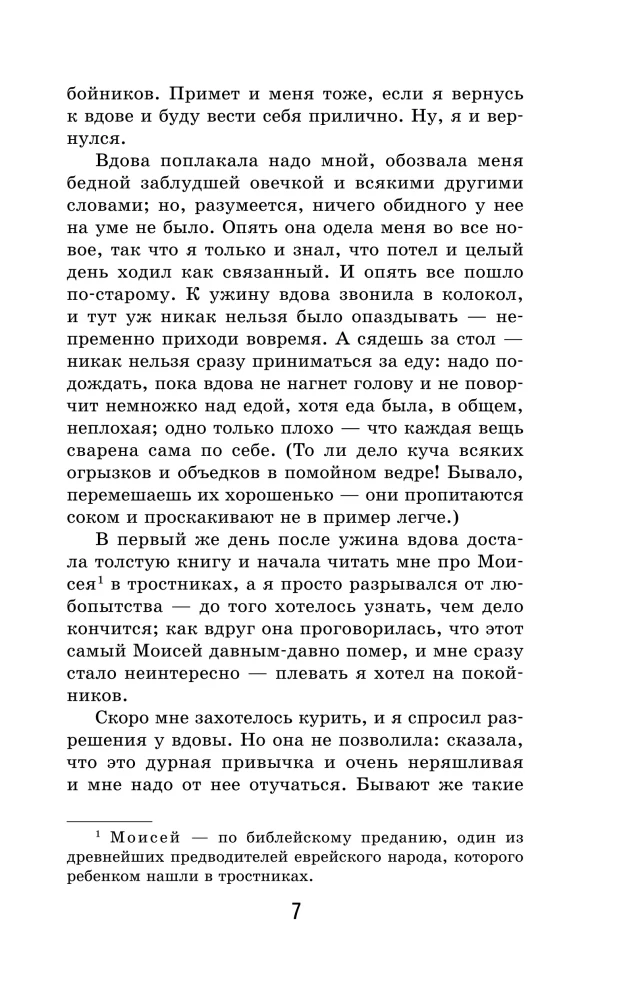 Приключения Гекльберри Финна (с иллюстрациями)