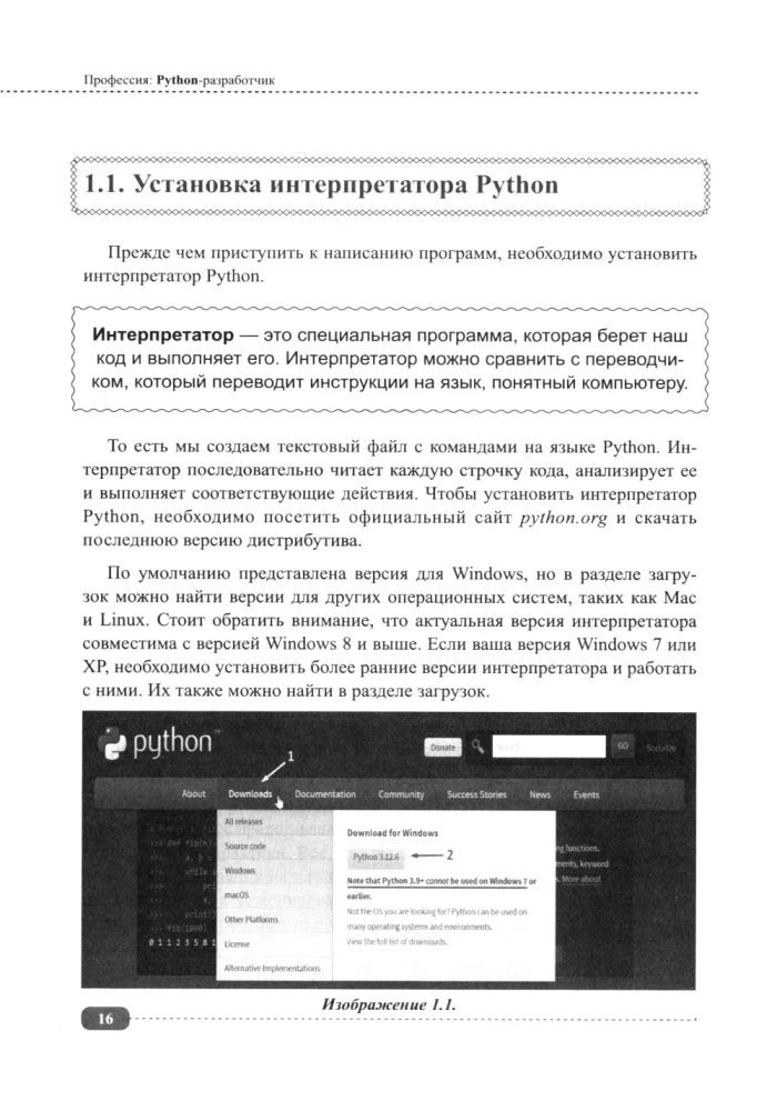 Profession: Python Developer