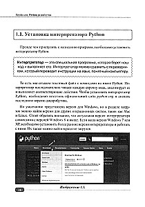 Profession: Python Developer