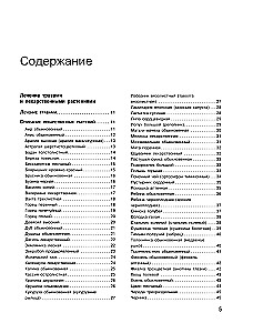 Encyclopedia of Folk Medicine and Naturopathy. Prevention and Treatment of Diseases with Folk Remedies at Home