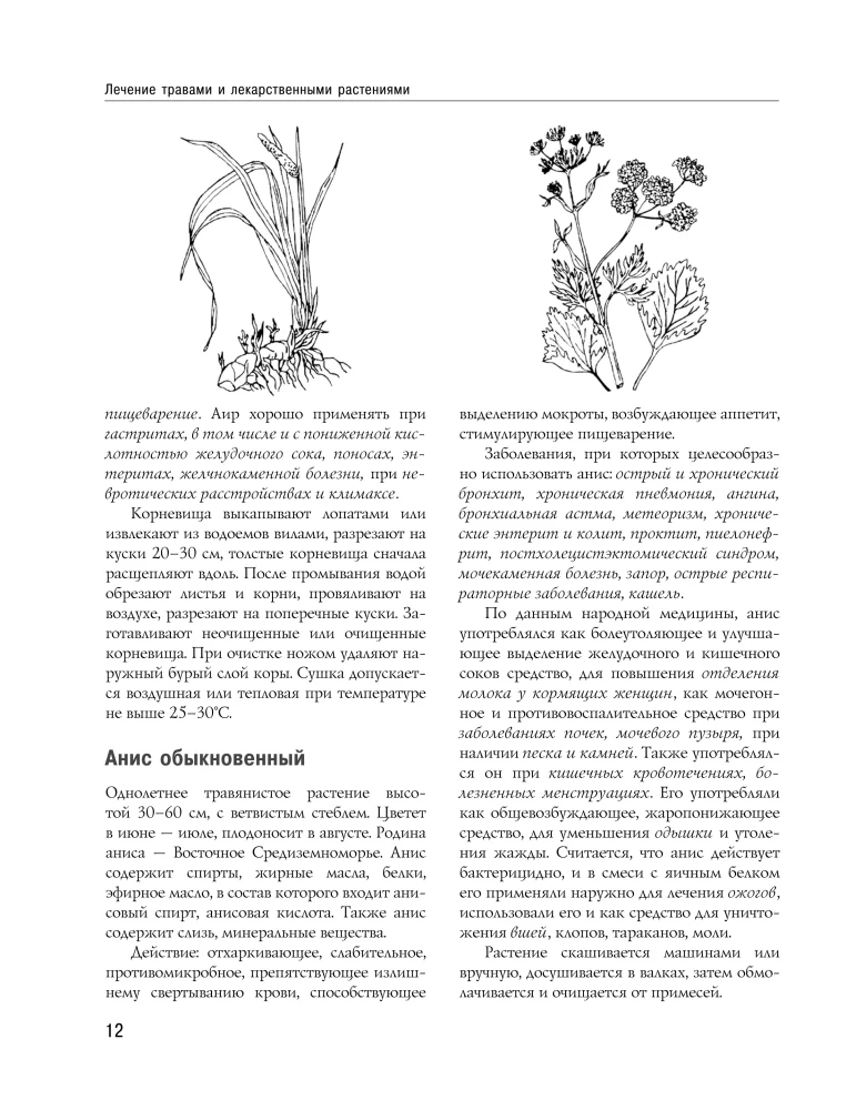 Encyclopedia of Folk Medicine and Naturopathy. Prevention and Treatment of Diseases with Folk Remedies at Home