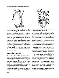 Encyclopedia of Folk Medicine and Naturopathy. Prevention and Treatment of Diseases with Folk Remedies at Home