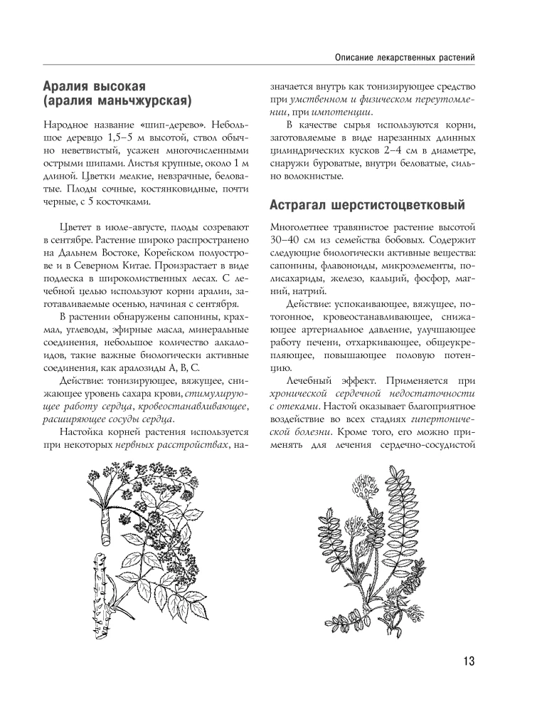 Encyclopedia of Folk Medicine and Naturopathy. Prevention and Treatment of Diseases with Folk Remedies at Home