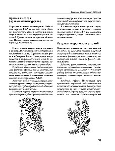 Encyclopedia of Folk Medicine and Naturopathy. Prevention and Treatment of Diseases with Folk Remedies at Home