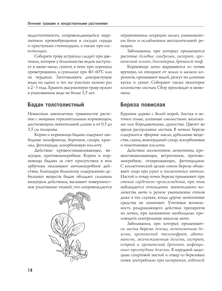 Encyclopedia of Folk Medicine and Naturopathy. Prevention and Treatment of Diseases with Folk Remedies at Home