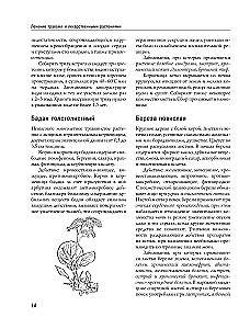 Encyclopedia of Folk Medicine and Naturopathy. Prevention and Treatment of Diseases with Folk Remedies at Home