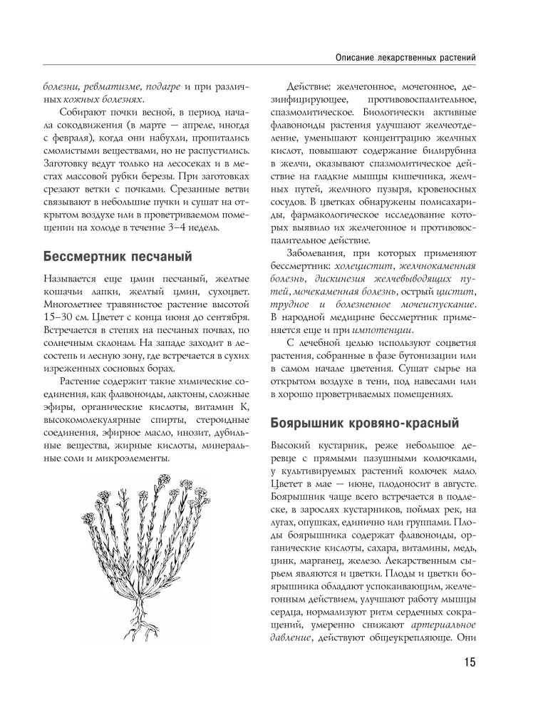 Encyclopedia of Folk Medicine and Naturopathy. Prevention and Treatment of Diseases with Folk Remedies at Home