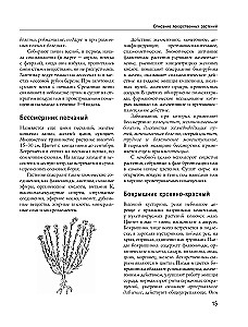 Encyclopedia of Folk Medicine and Naturopathy. Prevention and Treatment of Diseases with Folk Remedies at Home