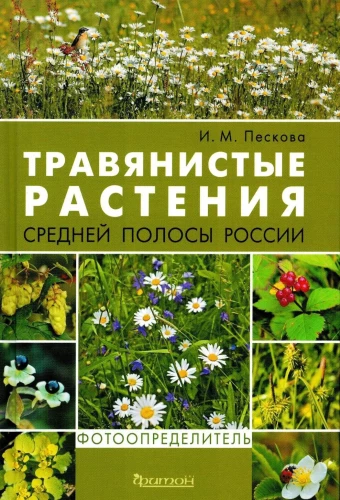 Herbaceous Plants of the Central Region of Russia. Photo Identifier